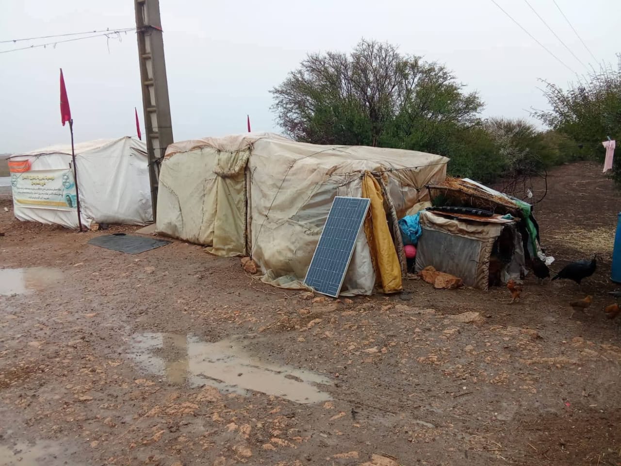 2cb930e1-a1f0-4705-8ea9-653694aacb7a